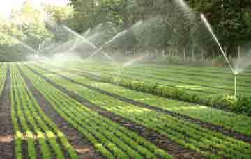 New irrigation systems to increase corn and bean yields